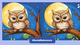 Spot the difference: Only a genius can spot three differences in these owl images!