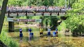 Duck Race to make a splash in Strongsville: Talk of the Towns