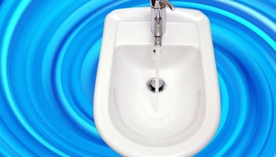 Let These Bidet Experts Convince You Why A Bidet Is The Best Option For Your Butt