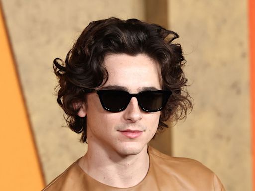 Why Timothée Chalamet Didn’t Walk With Kylie Jenner at the 2024 Met Gala