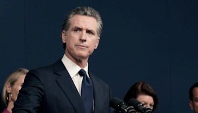 Proponen al gobernador de California, Gavin Newsom, como posible candidato presidencial del Partido Demócrata