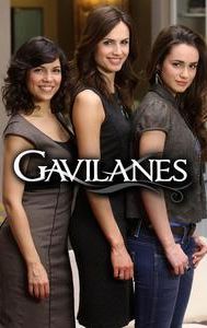 Gavilanes