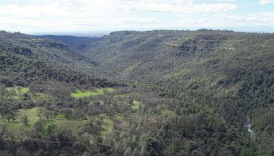 Park Fire devastates Chico State's Ecological Reserve, historic structures lost