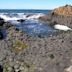 Giant's Causeway