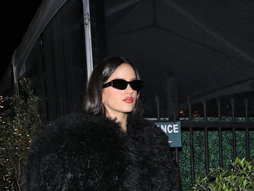 Rosalía Looks Like a Luxurious Fur Ball in a Black Celine Coat