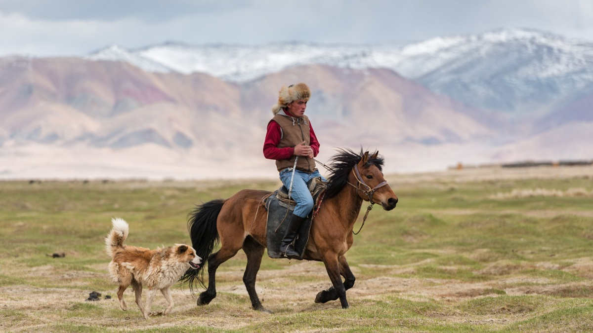 Archaeological study shows humans started riding horses more than 4,000 years ago