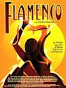 Flamenco (1995 film)
