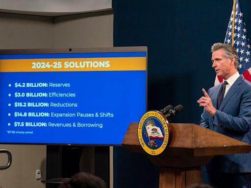 Newsom’s proposed spending cuts spur backlash from affected California groups