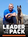 Cesar Millan's Leader of the Pack