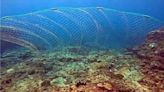 珊瑚產卵季驚見後壁湖海底飄大型漁網 潛水界怒斥生態浩劫 - 生活