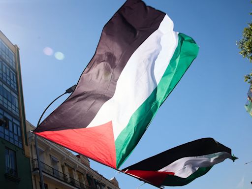 ¿Qué países reconocen a Palestina internacionalmente y cuál es la posición de España?