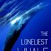 The Loneliest Whale: The Search for 52