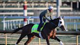 Sun Thunder jockey, trainer, owner: What you need to know about Kentucky Derby 2023 horse