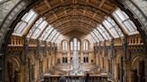 Our guide to the museums in London you should visit, from Science Museum to the V&A