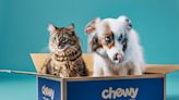 Chewy Is Giving Lucky Pet Parents Free Food For a Year in New Contest