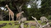 The 10 Best Zoos in America to Visit This Summer