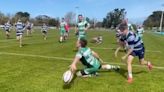 1m viewers in stitches as rugby player makes catastrophe of certain try