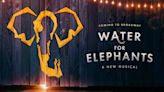 Tony nominations surprises: ‘Water for Elephants’ for Best Musical, ‘Stereophonic’ cast …