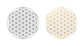 What Is the 'Flower of Life' and What Does it Represent? Experts Explain