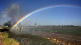 Western Oregon hit with ‘flash drought,’ setting up elevated wildfire, fish concerns