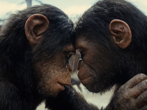 ‘Kingdom Of The Planet Of The Apes’ Is Finally Streaming On Hulu—How To Watch The Entire Franchise