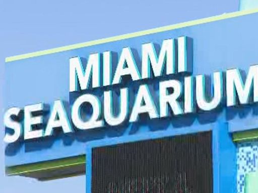 Miami-Dade County serves Miami Seaquarium with eviction notice