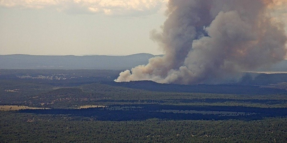 New wildfire dubbed Bravo Fire growing west of Flagstaff