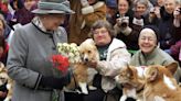 Queen Elizabeth II honored with corgi-adorned statue on 98th birthday: See the photos