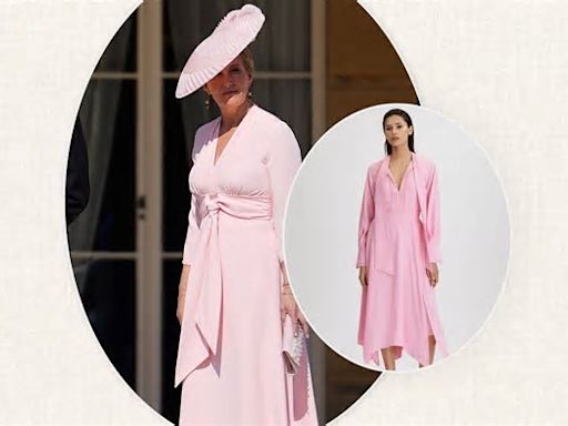 Loved Duchess Sophie's pink designer dress? I've found an amazing lookalike, if I do say so myself