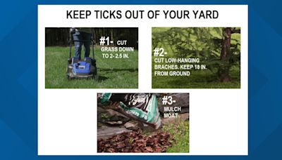 How to keep ticks out of your yard