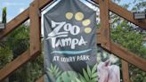 ZooTampa is first zoo in the state to receive NWS StormReady designation