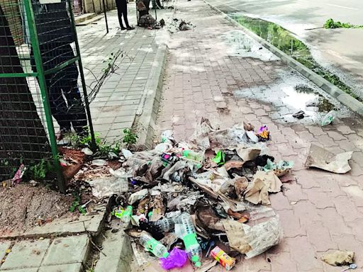 BBMP’s Clean Sweep: Tree Guard Cleanup Earns High Praise