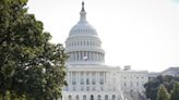 Image of Capitol fence isn't new. High-flying flag gives it away | Fact check