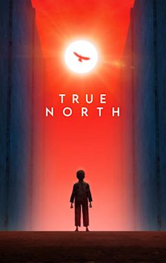 True North