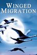 Le peuple migrateur