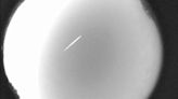 The Eta Aquarid meteor shower, debris of Halley's comet, peaks this weekend. Here's how to see it