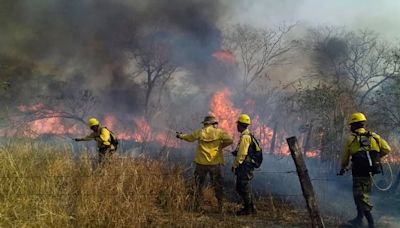 366 hectáreas de campo natural fueron destruidas por incendios forestales en Perú