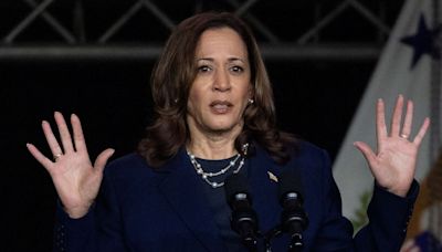 ‘Differences don’t divide us..,’: Kamala Harris hits back at Trump after remarks on her racial identity | Today News