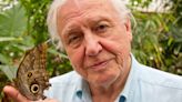 When is Planet Earth III on TV? David Attenborough, 97, to present last ever series