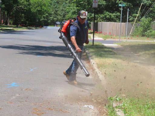 I hate leaf blowers and you should, too