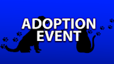 Fayette County Humane Society holds adoption event due to being in Code Red