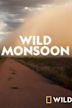 Wonders of the Monsoon