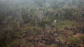Blazes in Brazil's Amazon off to record start in 2024, as firefighting budget cut
