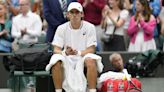 Novak Djokovic moves into Wimbledon semifinals when Alex de Minaur withdraws