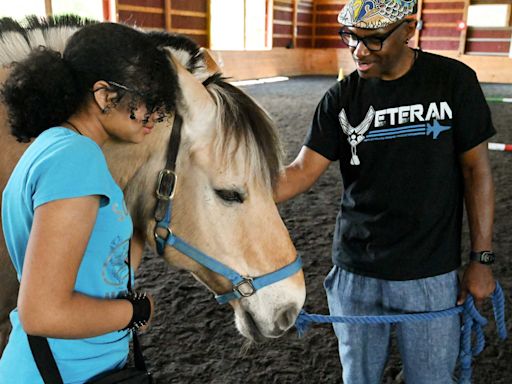 Horses at High & Mighty help vets heal after serving
