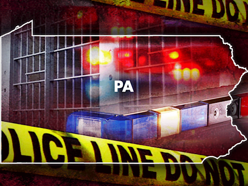 Pennsylvania woman gets 4 to 8 years for shooting county prosecutor