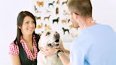 How pet insurance covers vet visits