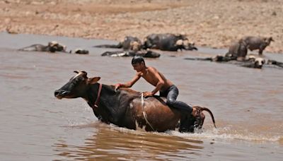 52,3 grados centígrados: India bate récords de temperatura tras semanas de calor sofocante y escasez de agua