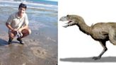 Descubrieron en las costas de Río Negro huellas de un ave fósil gigante única en el mundo