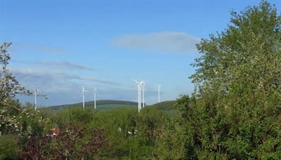 "Eines der besten Potenzialgebiete": Windkraftplaner berichten